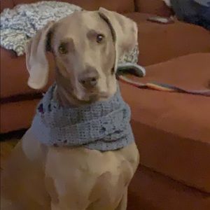 Meet your Posher, Cooper